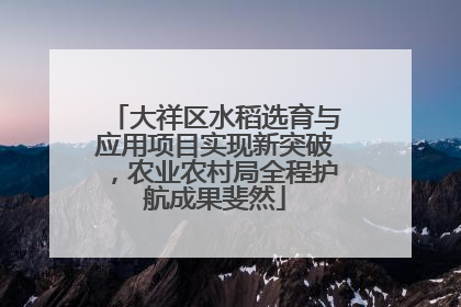 大祥区水稻选育与应用项目实现新突破，农业农村局全程护航成果斐然