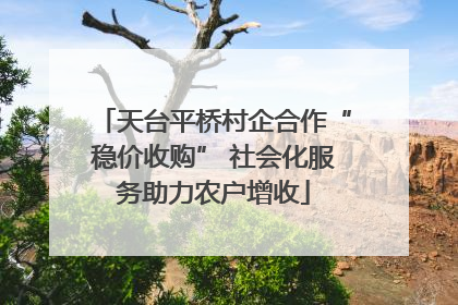 天台平桥村企合作“稳价收购” 社会化服务助力农户增收