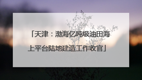 天津：渤海亿吨级油田海上平台陆地建造工作收官