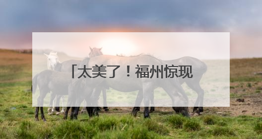 太美了！福州惊现“萤火虫海”！