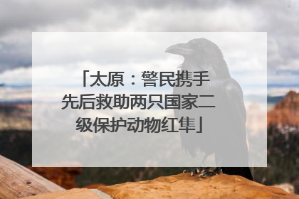 太原：警民携手 先后救助两只国家二级保护动物红隼