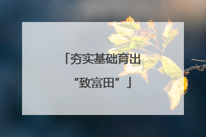 夯实基础育出“致富田”