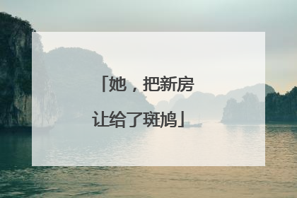 她，把新房让给了斑鸠