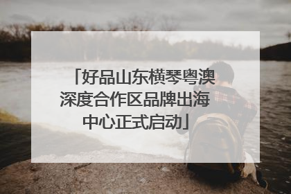 好品山东横琴粤澳深度合作区品牌出海中心正式启动