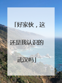 好家伙，这还是我认识的武汉吗