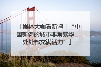 媒体大咖看新疆丨“中国新疆的城市非常繁华，处处都充满活力”