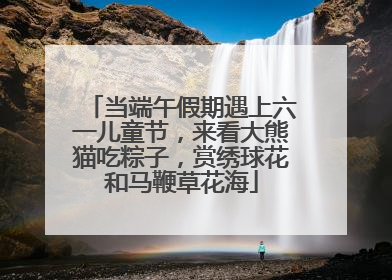 当端午假期遇上六一儿童节，来看大熊猫吃粽子，赏绣球花和马鞭草花海
