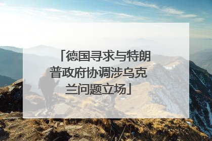 德国寻求与特朗普政府协调涉乌克兰问题立场