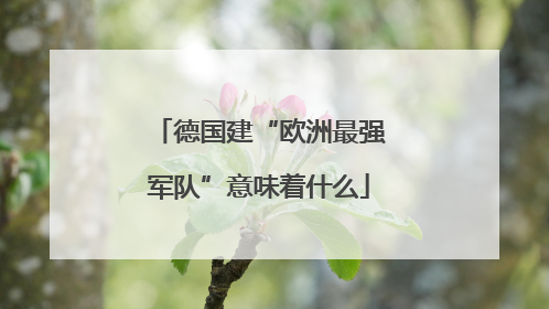 德国建“欧洲最强军队”意味着什么