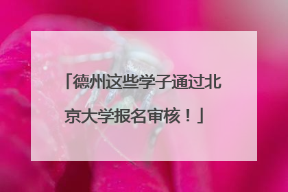 德州这些学子通过北京大学报名审核！