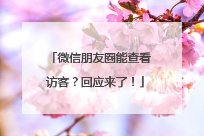 微信朋友圈能查看访客？回应来了！