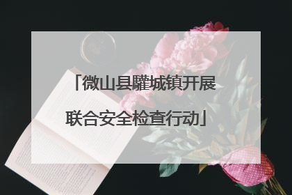 微山县驩城镇开展联合安全检查行动
