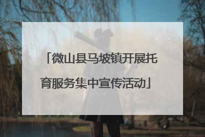 微山县马坡镇开展托育服务集中宣传活动