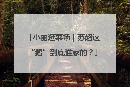 小丽逛菜场｜苏超这“鹅”到底谁家的？