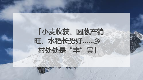 小麦收获、圆葱产销旺、水稻长势好……乡村处处是“丰”景