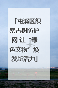 屯溪区织密古树防护网 让“绿色文物”焕发新活力