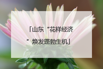 山东“花样经济”焕发蓬勃生机