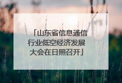 山东省信息通信行业低空经济发展大会在日照召开