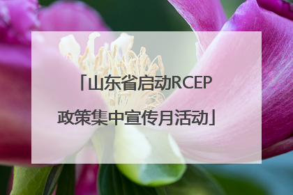 山东省启动RCEP政策集中宣传月活动