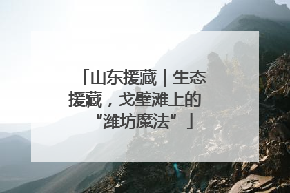 山东援藏｜生态援藏，戈壁滩上的“潍坊魔法”