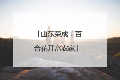 山东荣成：百合花开富农家