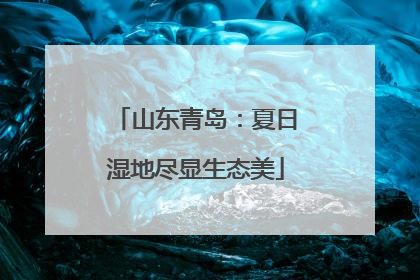 山东青岛：夏日湿地尽显生态美