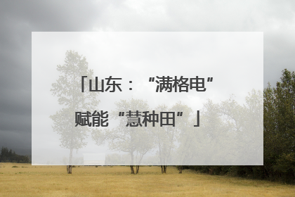 山东：“满格电”赋能“慧种田”