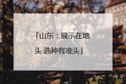 山东：展示在地头 选种有准头