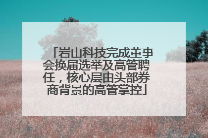 岩山科技完成董事会换届选举及高管聘任，核心层由头部券商背景的高管掌控