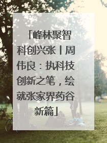 峰林聚智 科创兴张丨周伟良：执科技创新之笔，绘就张家界药谷新篇