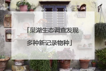 巢湖生态调查发现多种新记录物种