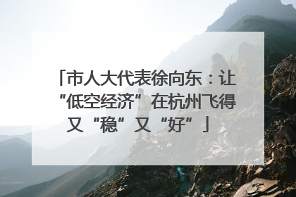 市人大代表徐向东：让“低空经济”在杭州飞得又“稳”又“好”