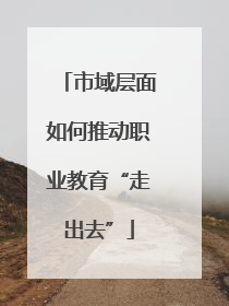 市域层面如何推动职业教育“走出去”