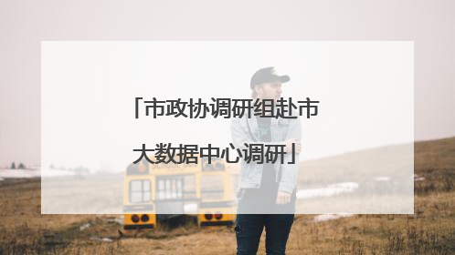市政协调研组赴市大数据中心调研
