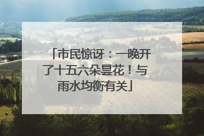 市民惊讶：一晚开了十五六朵昙花！与雨水均衡有关