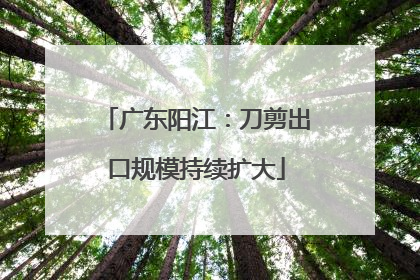 广东阳江：刀剪出口规模持续扩大