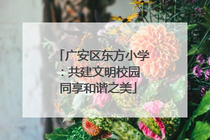 广安区东方小学：共建文明校园 同享和谐之美
