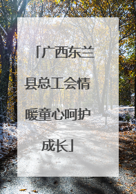 广西东兰县总工会情暖童心呵护成长
