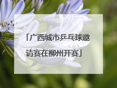 广西城市乒乓球邀请赛在柳州开赛