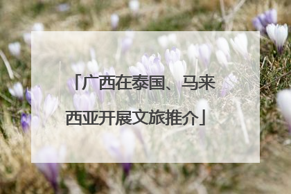 广西在泰国、马来西亚开展文旅推介