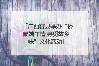 广西容县举办“侨聚端午情·寻觅故乡味”文化活动