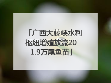 广西大藤峡水利枢纽增殖放流201.9万尾鱼苗