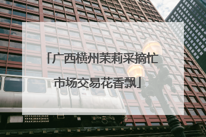广西横州茉莉采摘忙 市场交易花香飘