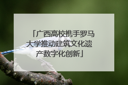 广西高校携手罗马大学推动建筑文化遗产数字化创新