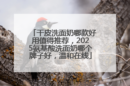 干皮洗面奶哪款好用值得推荐，2025氨基酸洗面奶哪个牌子好，温和在线