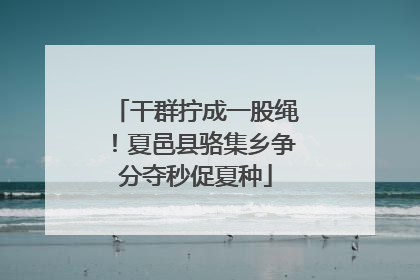 干群拧成一股绳！夏邑县骆集乡争分夺秒促夏种