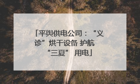平舆供电公司：“义诊”烘干设备 护航 “三夏” 用电