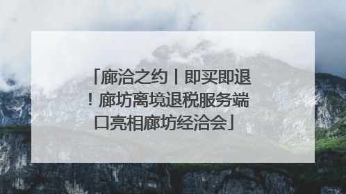 廊洽之约丨即买即退！廊坊离境退税服务端口亮相廊坊经洽会