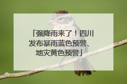 强降雨来了！四川发布暴雨蓝色预警、地灾黄色预警