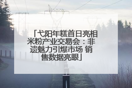 弋阳年糕首日亮相米粉产业交易会：非遗魅力引爆市场 销售数据亮眼